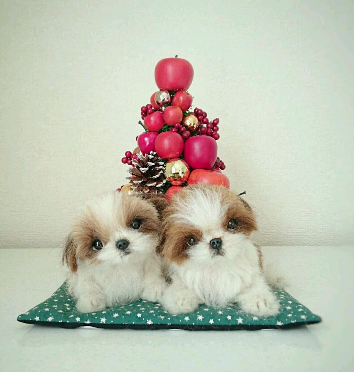 子犬画像